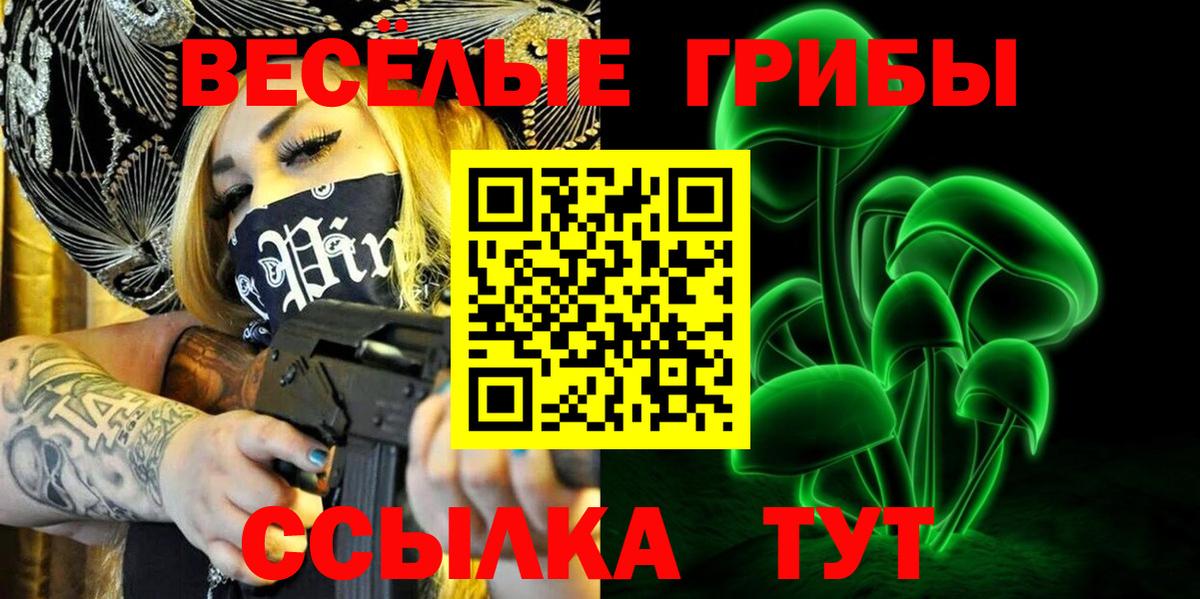 Галлюциногенные грибы Psilocybe Кольчугино